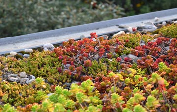 the cost of Buckbury green roof installation