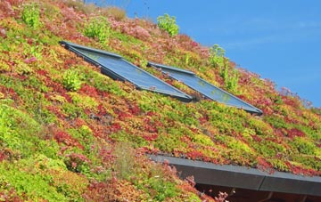 Buckbury living roof systems